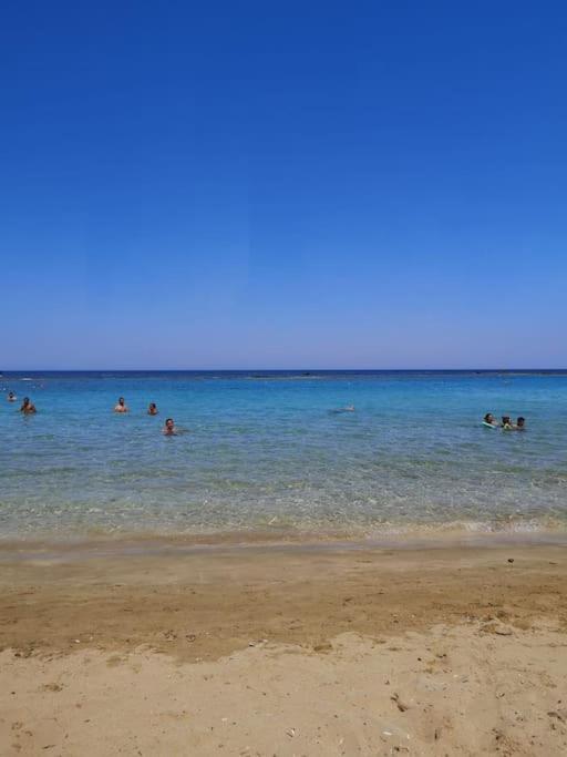 Penthouse Med Privat Saltvannsbasseng Pa Esentepe Beach 凯里尼亚 外观 照片